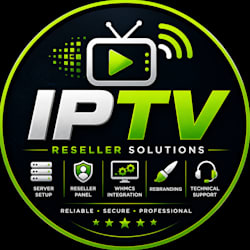 jamiuexpert371