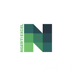 ngertiexcel