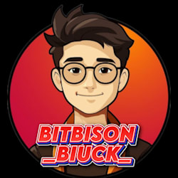 bitbisonbiuck