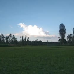 mdmehedihass721