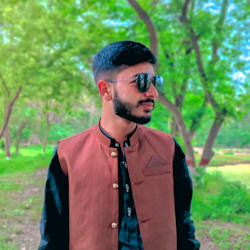 safdar739