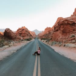 elyse_d