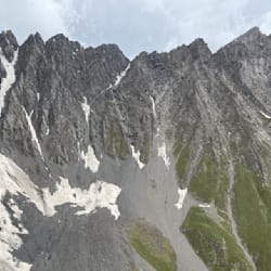 mshigri