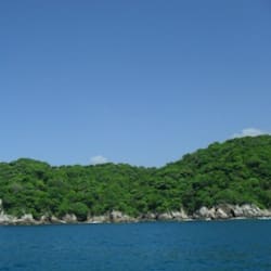 qsmmuri