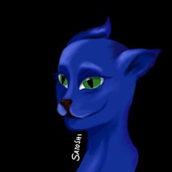 satoshiiart