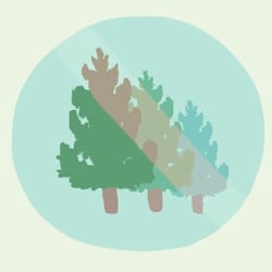 westpineart