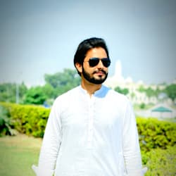 rajaaneeb691
