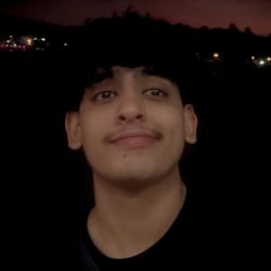 negisameer