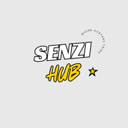 senzi_hub