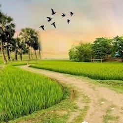suhali