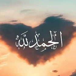 hammadyahya379