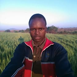 tatendamugaka