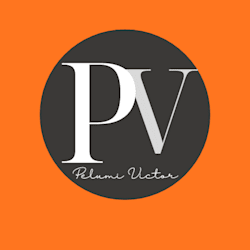 pelumi_victor01