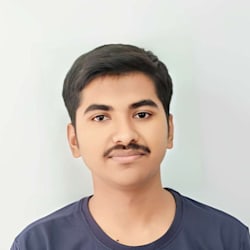 developer_nik