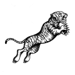 psychotigers