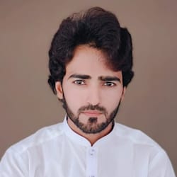 ameerhamzag154