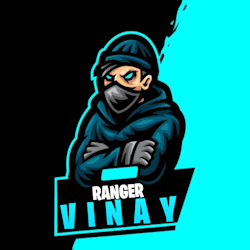 vinaygupta312