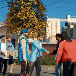 tiger_editz_757