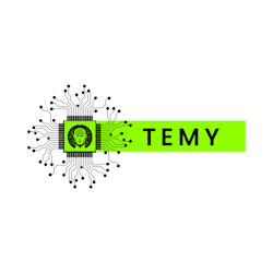 temyprompts12