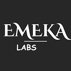 emeka_labs7
