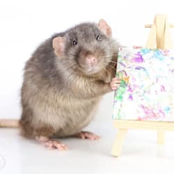 rat_crafts