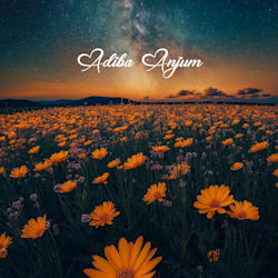 adibaanjum153