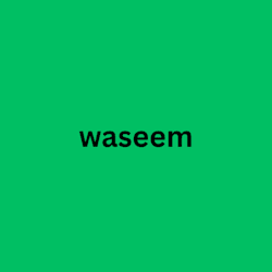 waseem_experrt