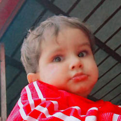 roshidahri