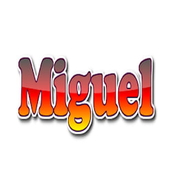 miguel_holcom