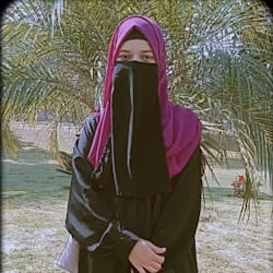fizaspark