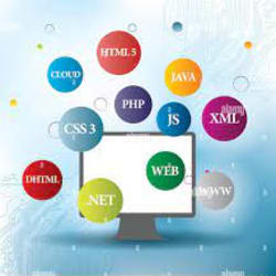 techexpert047