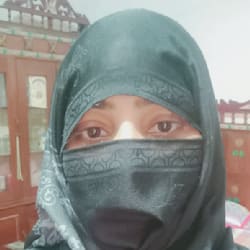 msafdar244