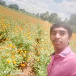 rishi00725