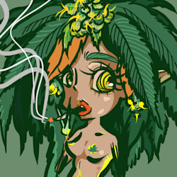 hics_illust