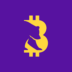 bitbears