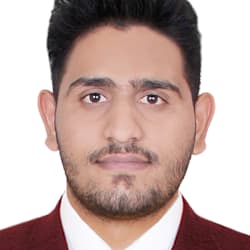 faiz_gull