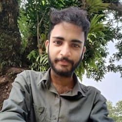 dev_lemon