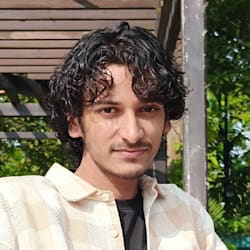 priyanshu63153