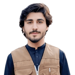 amirhamza1223