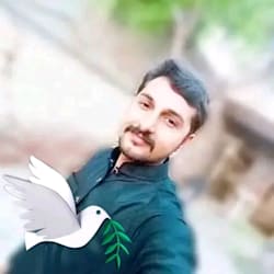 hasnainshah393