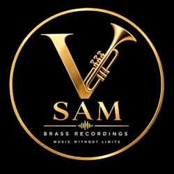 vsam343