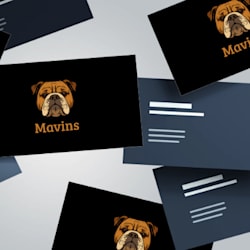 mavinss001