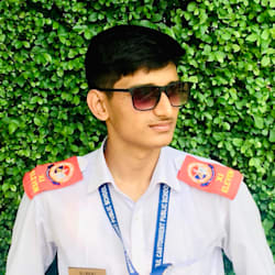 steve_wallin