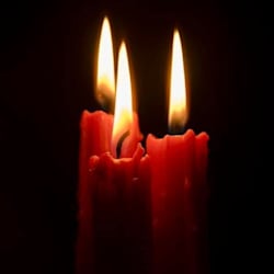 aurora_cast