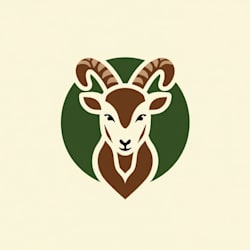 vector_studio3