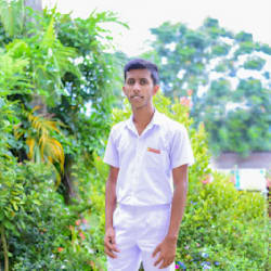 hdsale
