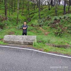 rohit9212