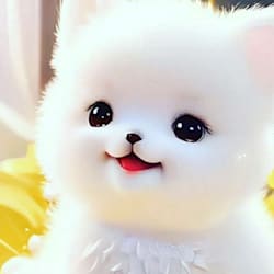kiranbabar243