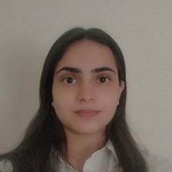 ish_20