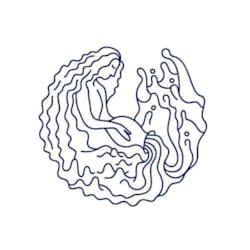 blaskoastrology